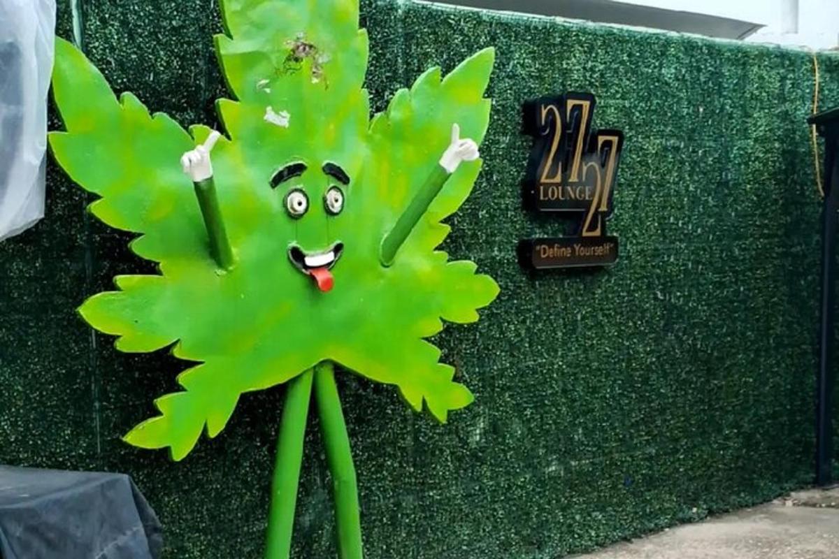 zelena rastlina z obrazom poleg žive meje