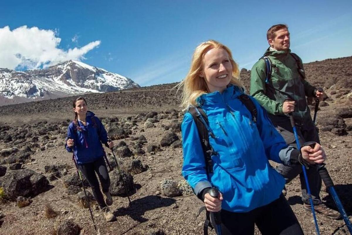 un gruppo di persone che fa un'escursione in montagna
