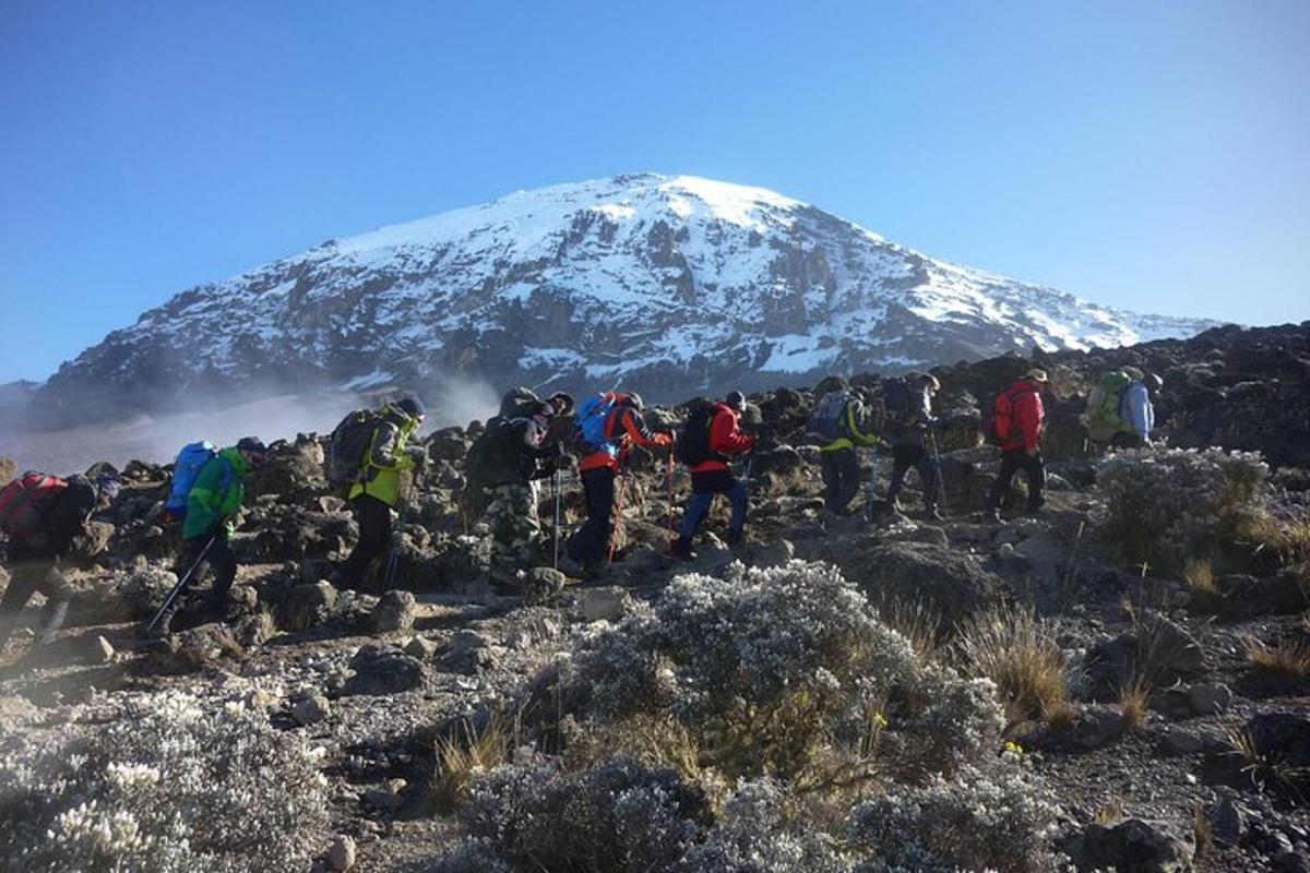 un gruppo di persone che camminano su una montagna