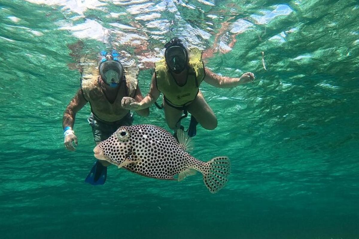 two people in the water with a fish in the water
