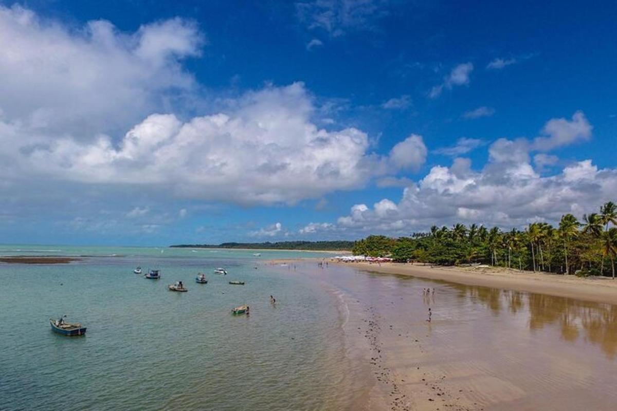 a group of boats in the water on a beach