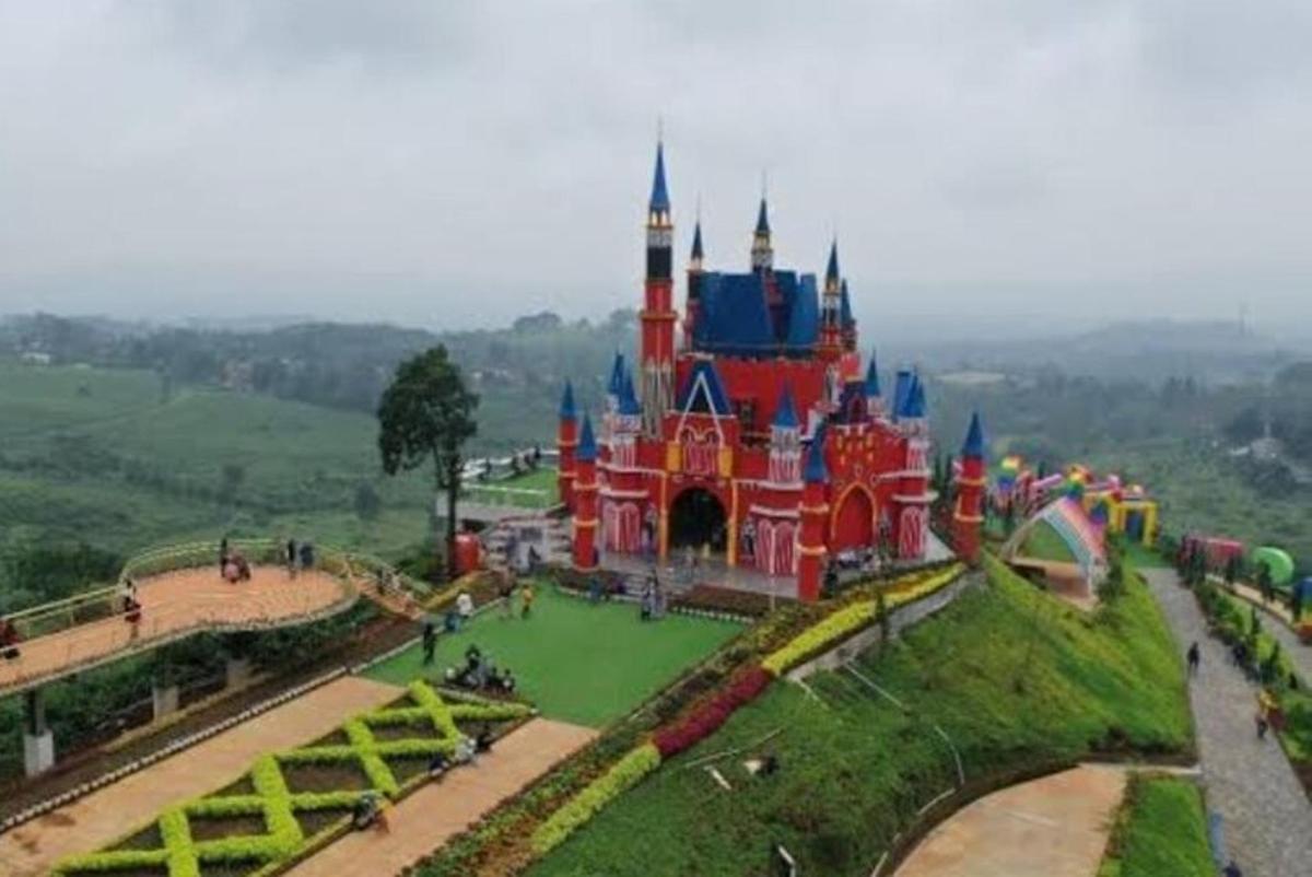 một góc nhìn từ trên không của lâu đài Disney