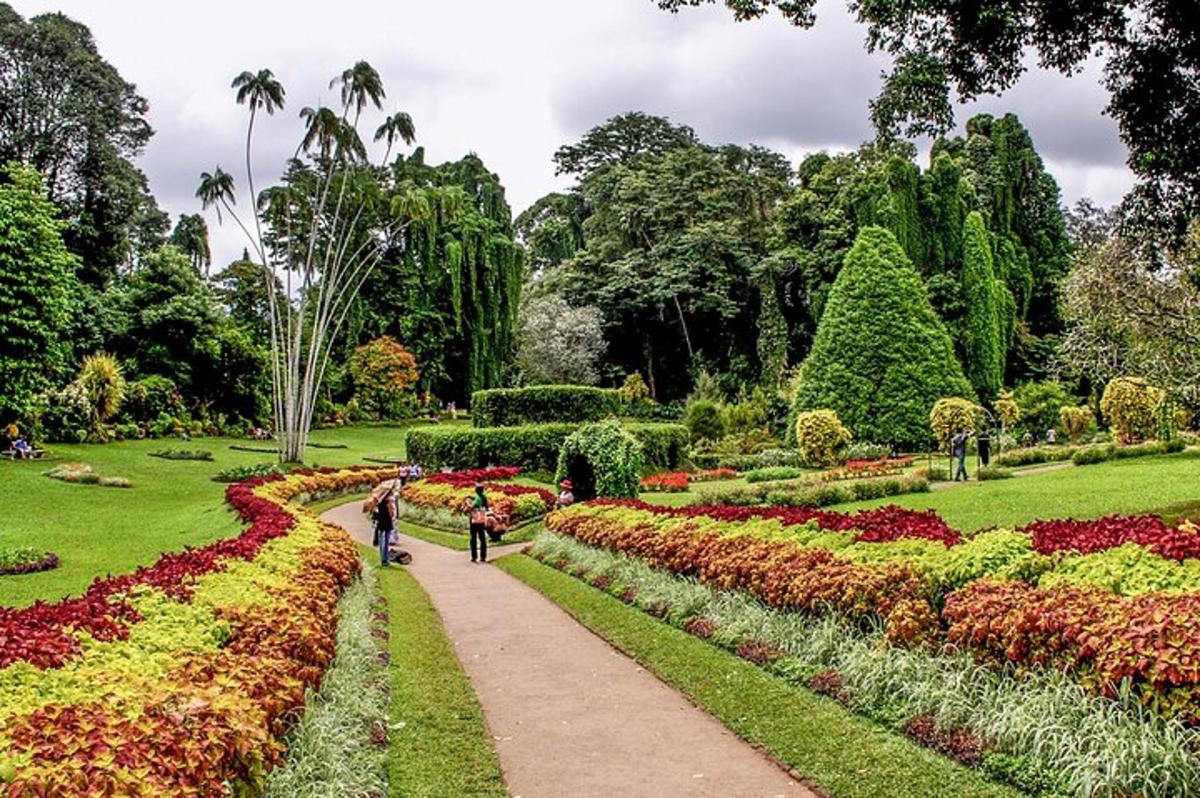 two people walking down a path through a garden