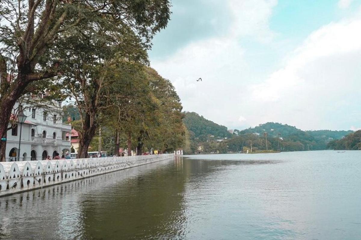 a large body of water with a building and trees