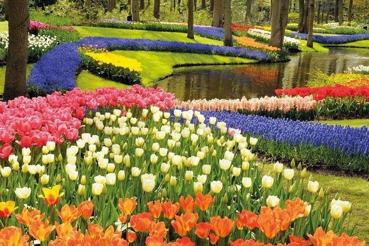 ein Garten mit bunten Blumen in einem Park