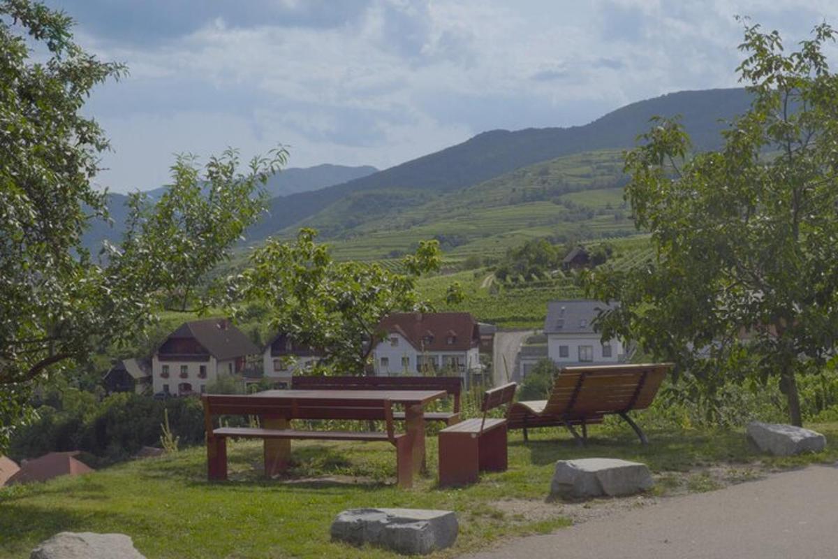 piknikulaud ja pink murul vaatega