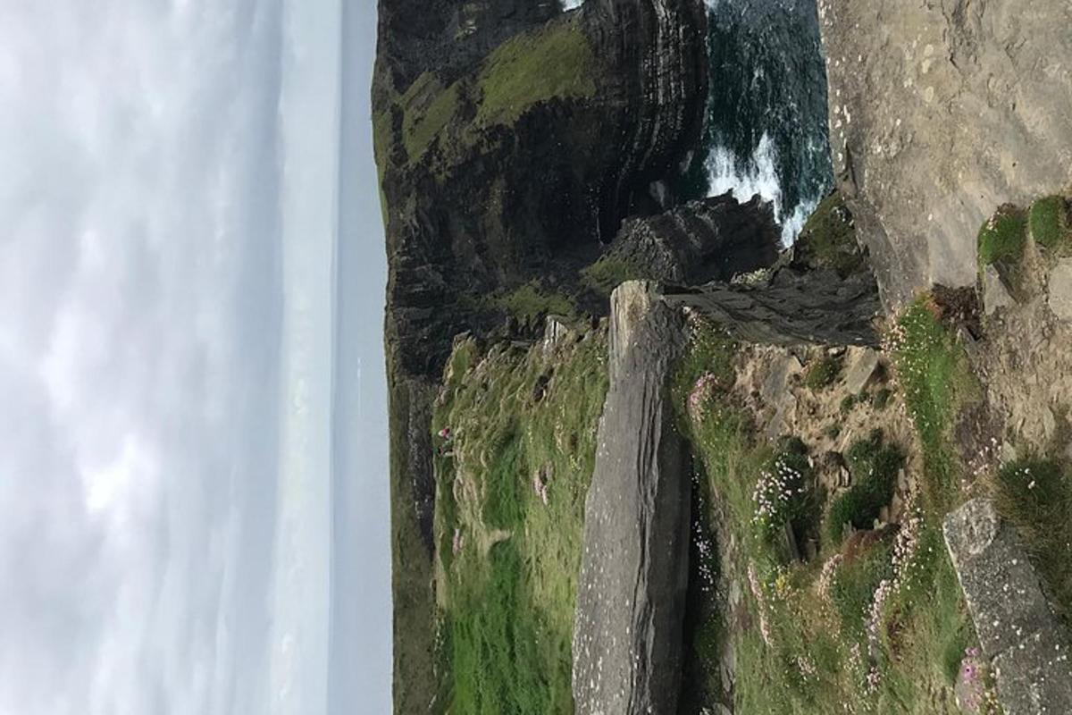 an aerial view of a cliff with the ocean