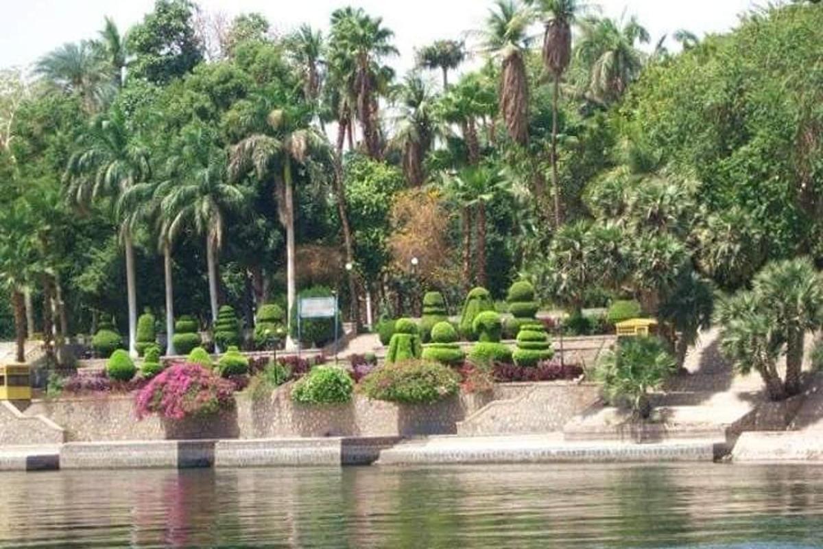 park s jezírkem, stromy a palmami