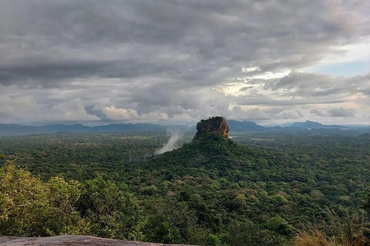 una formazione rocciosa nel mezzo di una foresta