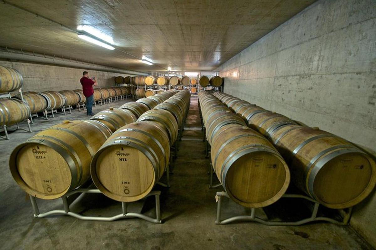 a row of wine barrels in a cellar