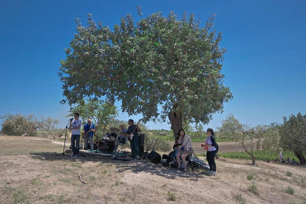 a group of people standing under a tree