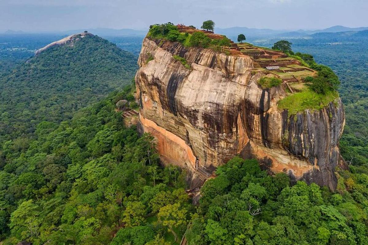 an aerial view of a mountain with trees on it
