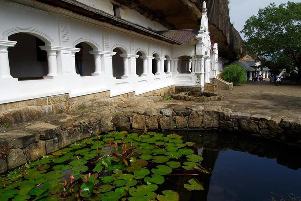 kolam dengan teratai di hadapan sebuah bangunan