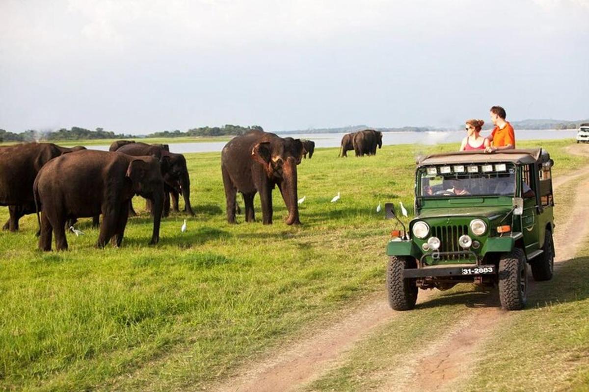 Dos personas en un jeep verde en un camino de tierra con elefantes.