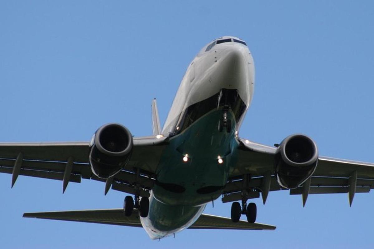 飛行機が空を飛んでいる