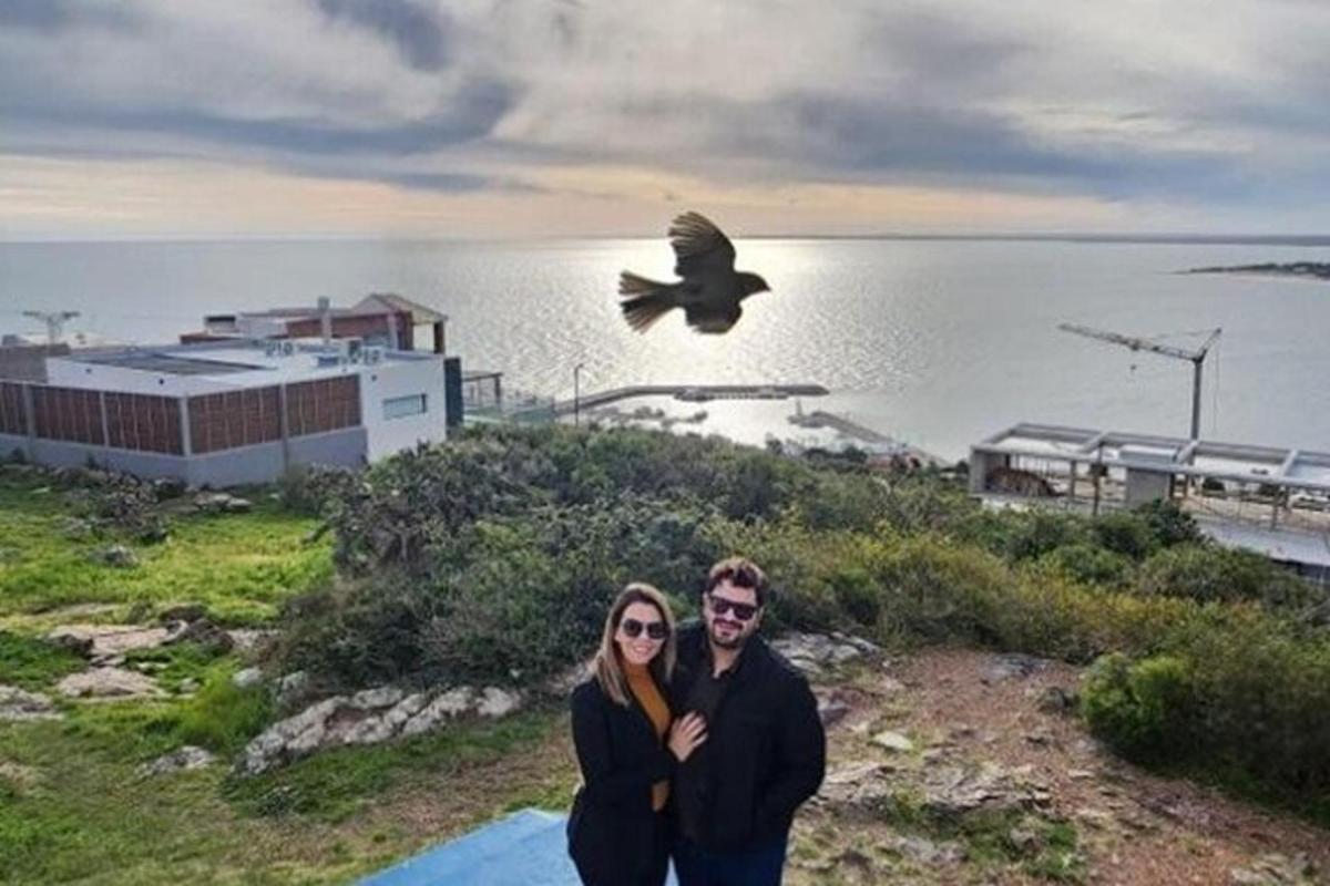um homem e uma mulher em pé perto da água com um pássaro