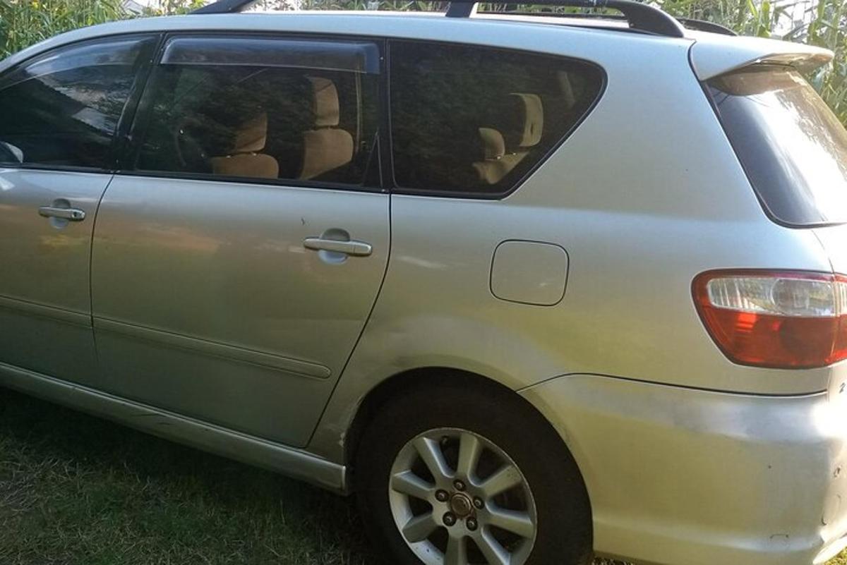 un'auto argentata parcheggiata nell'erba