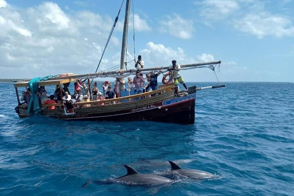 a group of people on a boat with dolphins in the water