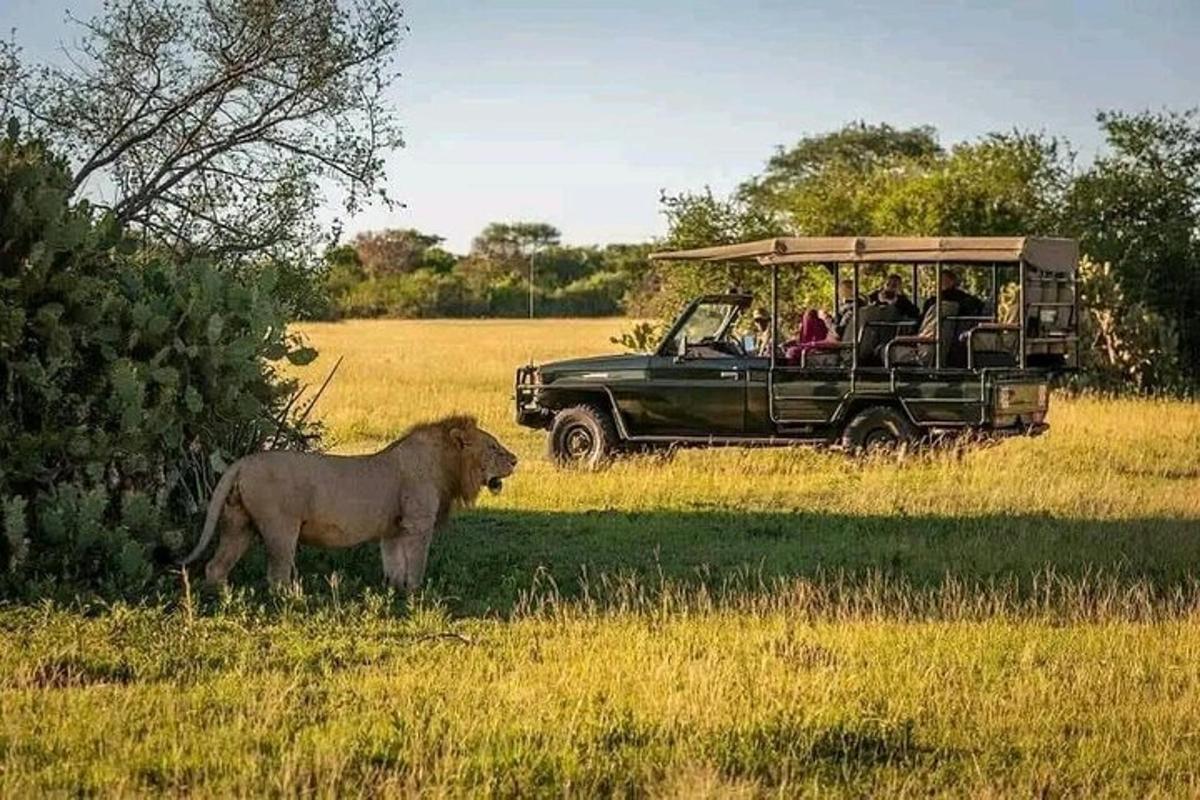 un gruppo di persone in un veicolo in un campo