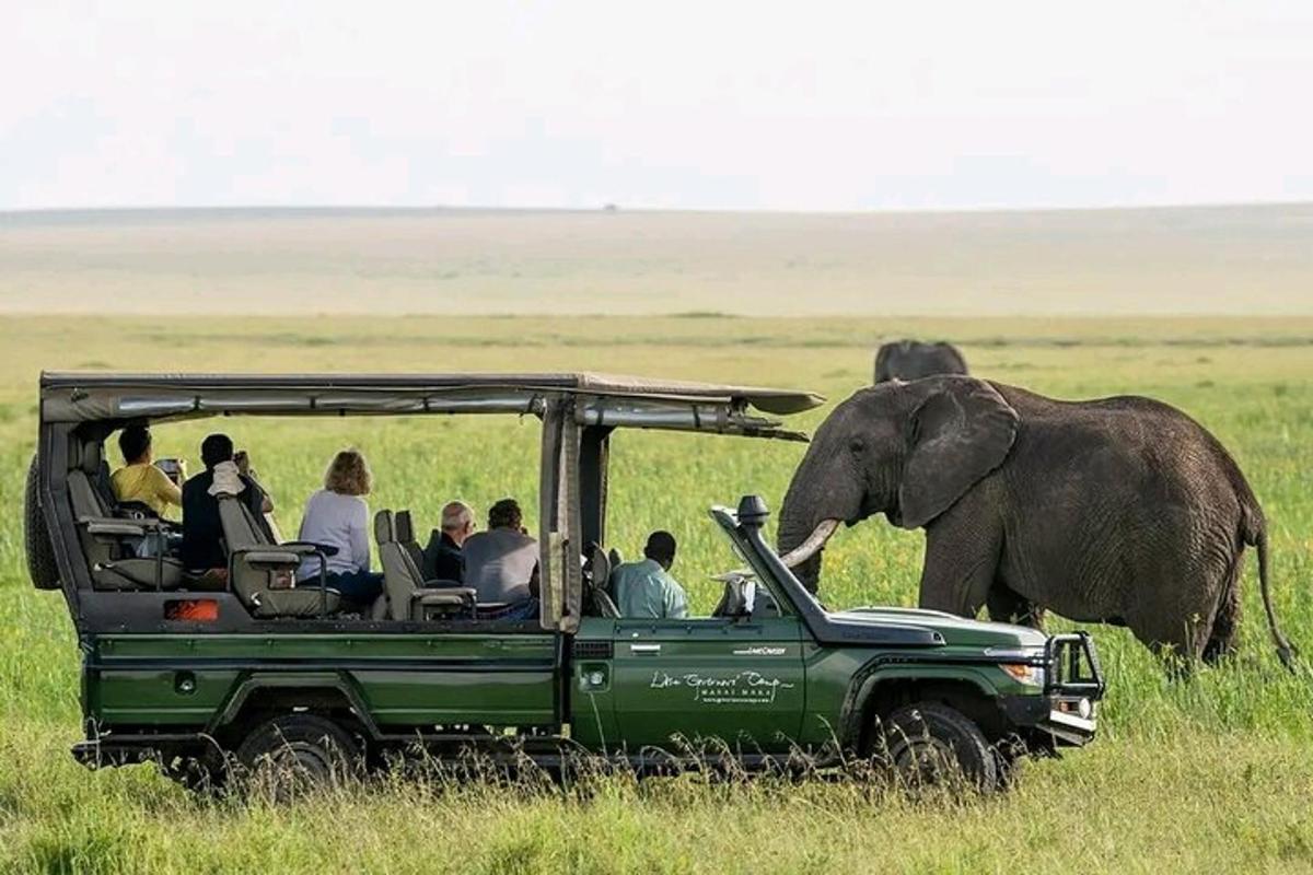 un gruppo di persone in una jeep davanti a un elefante