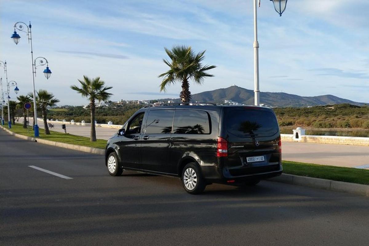 une camionnette noire roulant dans une rue avec un palmier