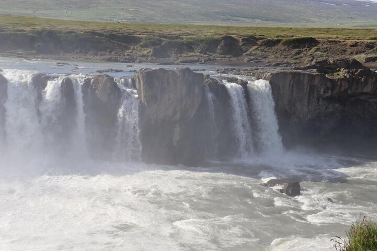 björn í vatninu við foss