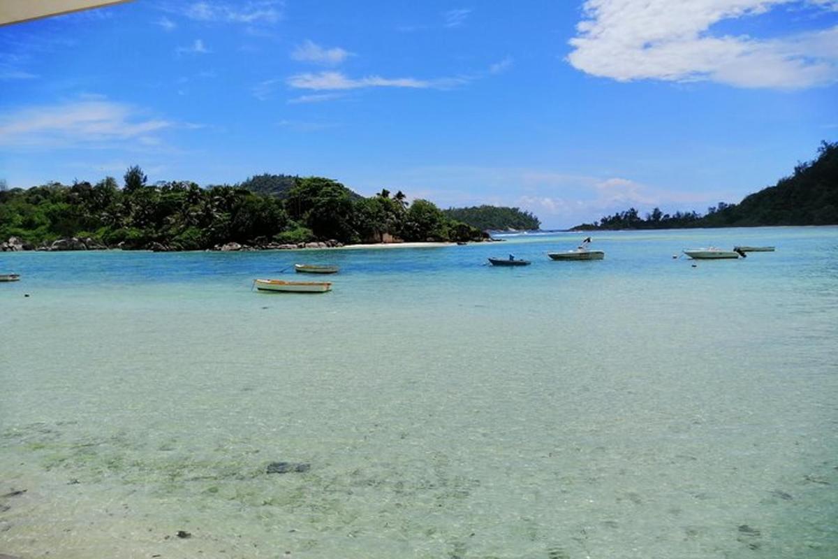 a group of boats in the water on a beach