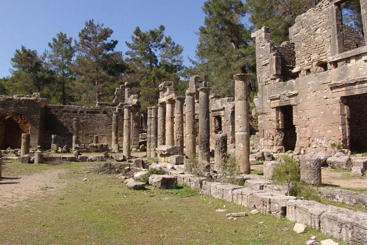 Un edificio antiguo con columnas en un campo.
