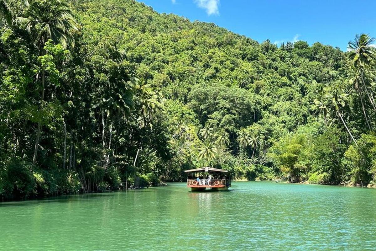 una barca in mezzo a un fiume con alberi
