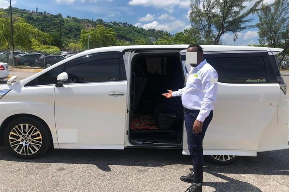 a man wearing a face mask standing next to a van