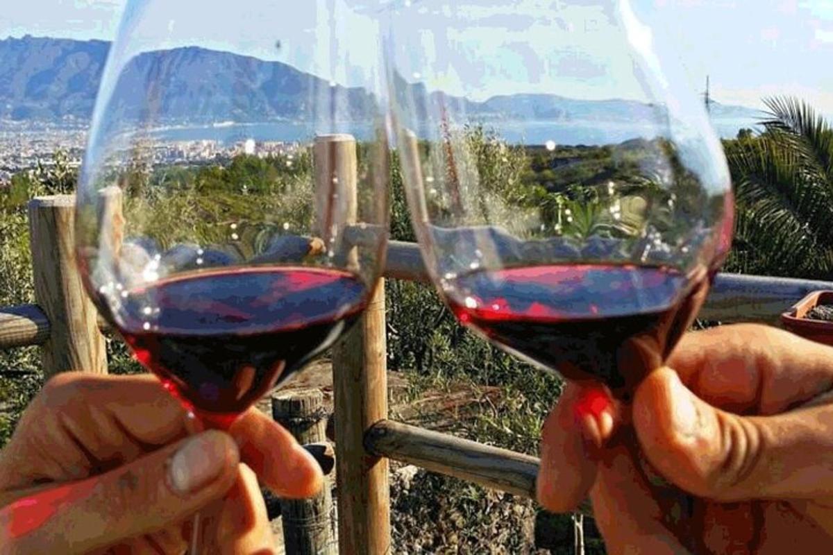 oseba, ki drži dva kozarca rdečega vina