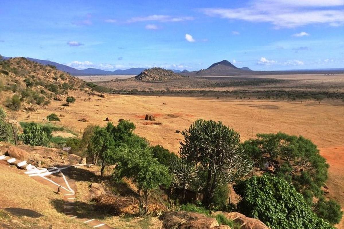un campo aperto con alberi e montagne in lontananza