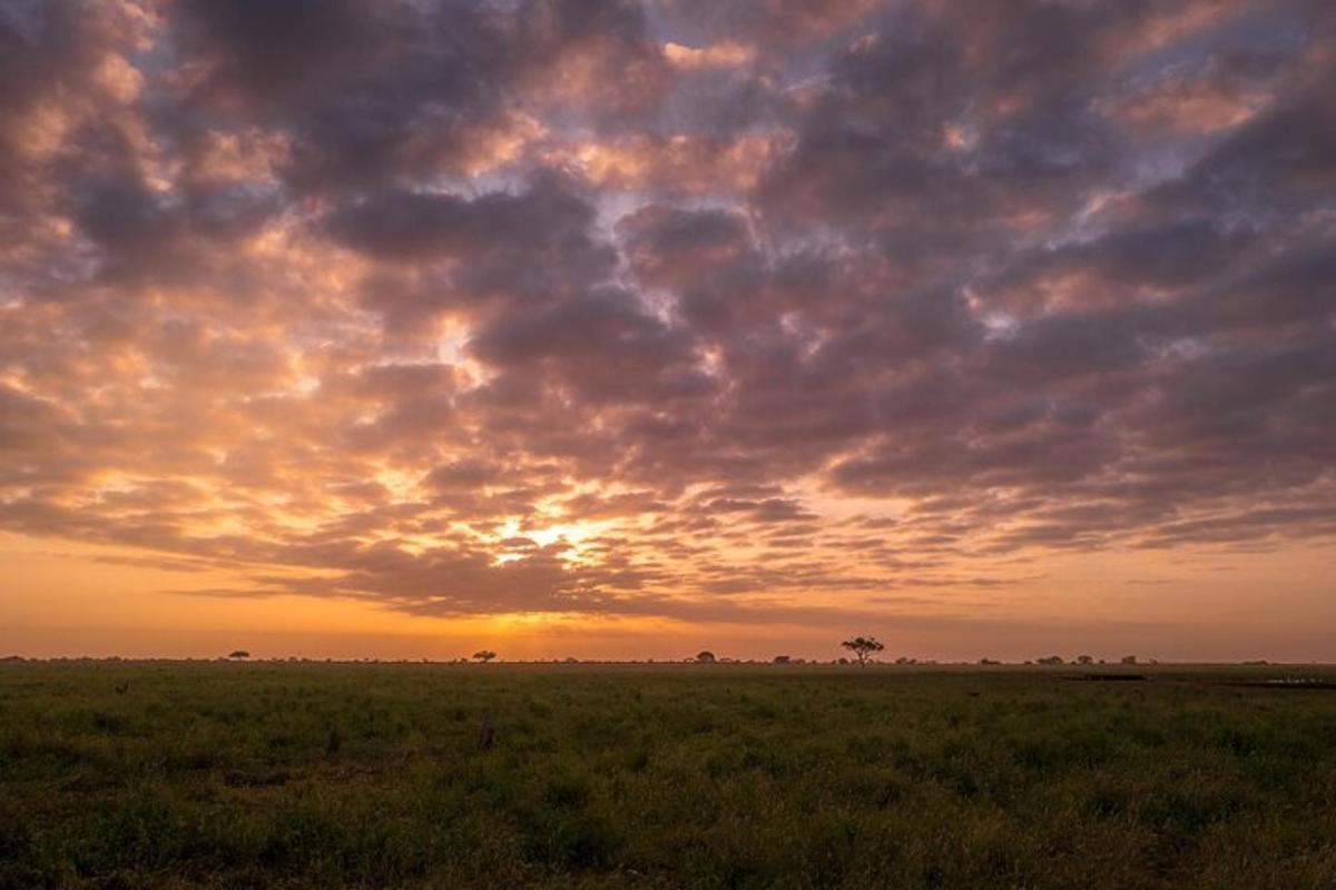un tramonto in un campo con cielo nuvoloso