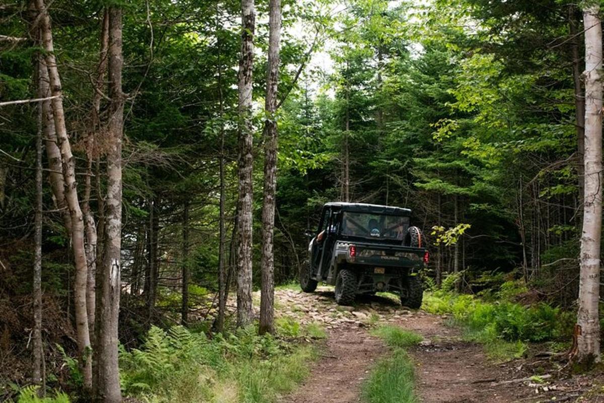 a jeep driving down a dirt road in the woods