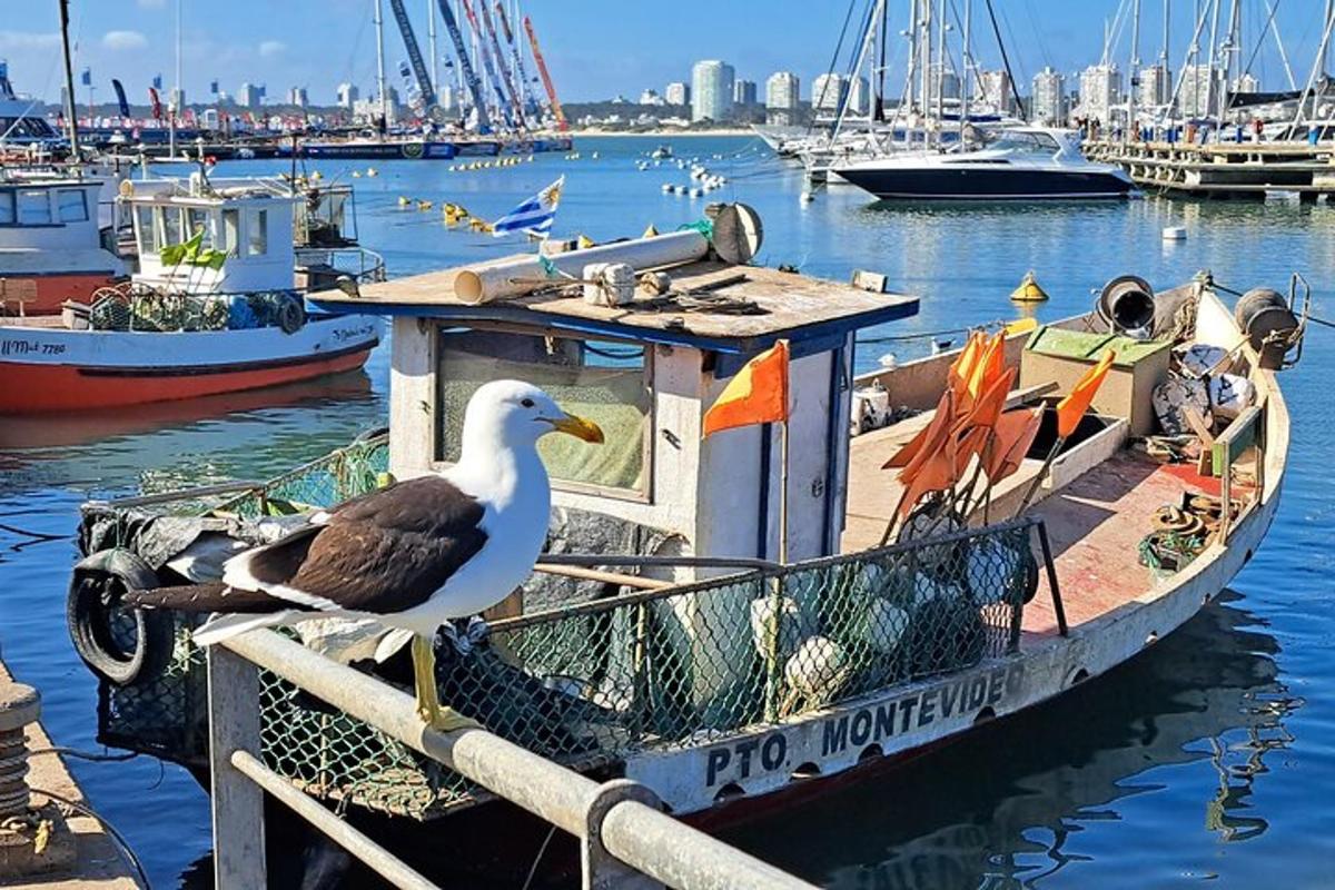 a bird sitting on a boat in the water