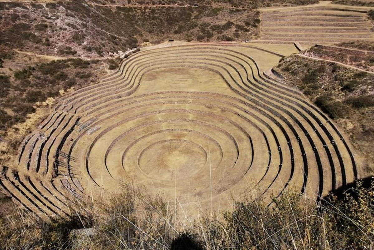 ein Amphitheater mit Linien auf einem Feld