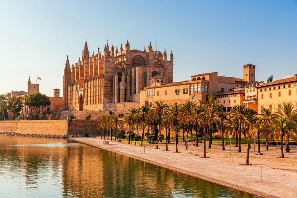 una città con palme di fronte a una cattedrale