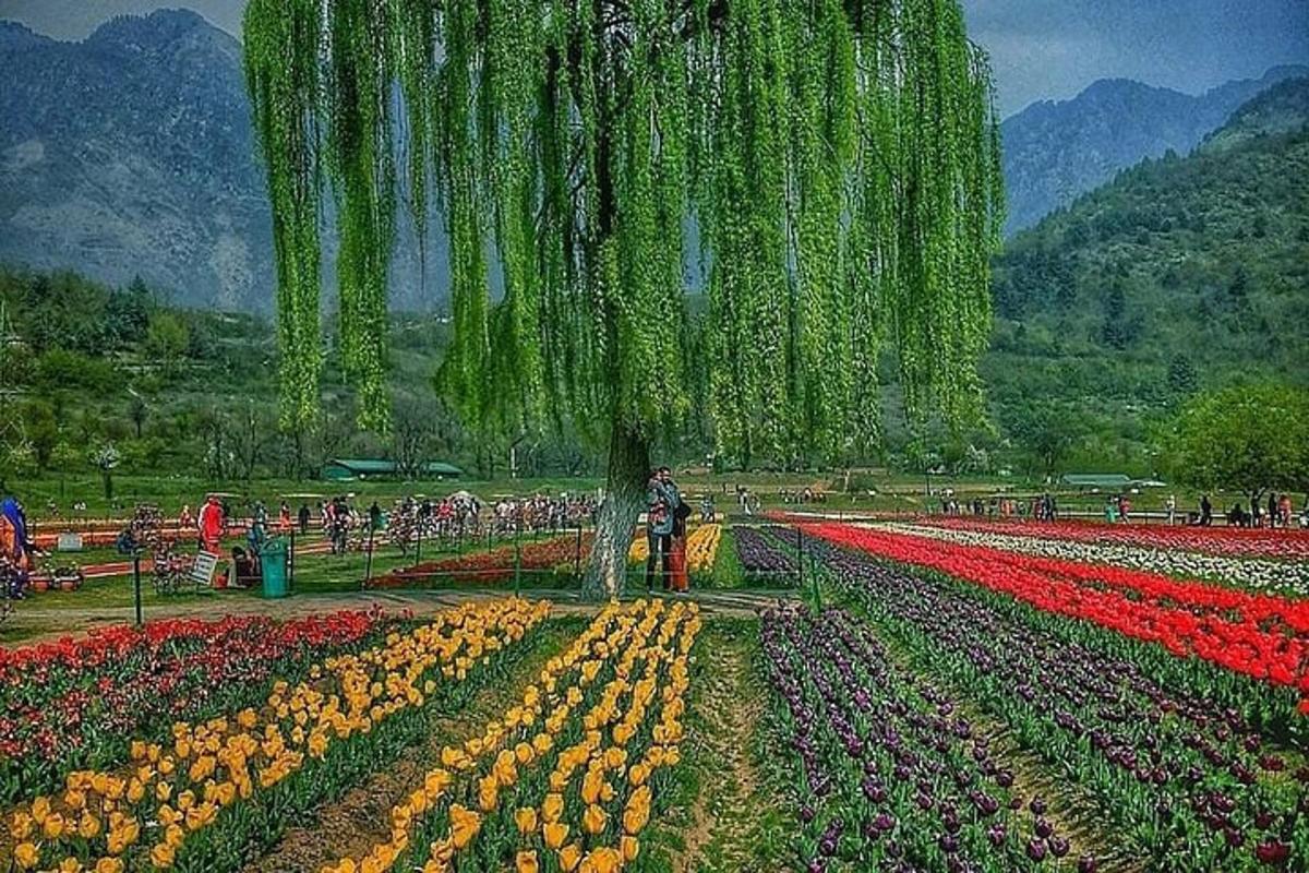 a painting of a field of flowers with a tree