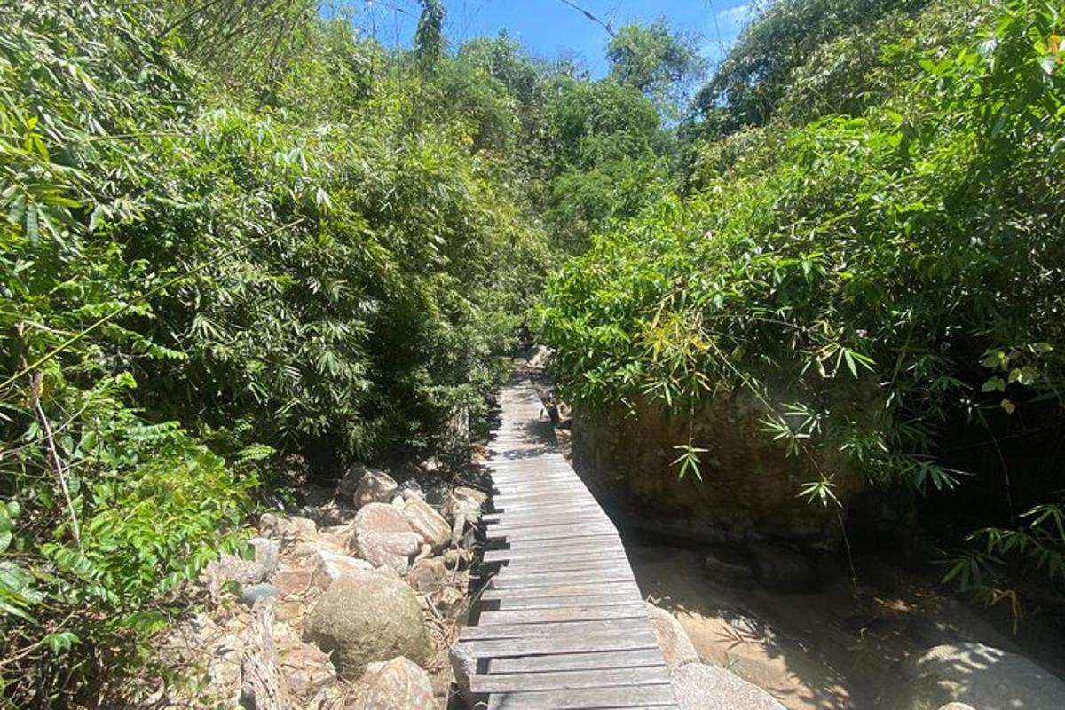 un ponte di legno in mezzo a una foresta