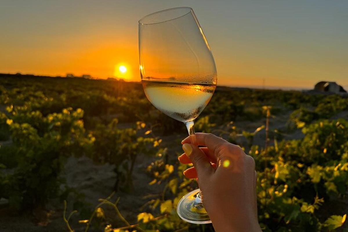 una persona che tiene in mano un bicchiere di vino al tramonto