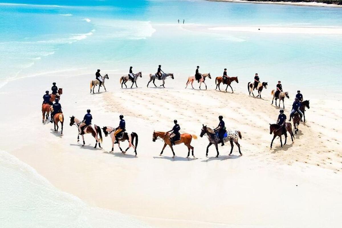 un grupo de personas montando a caballo en la playa
