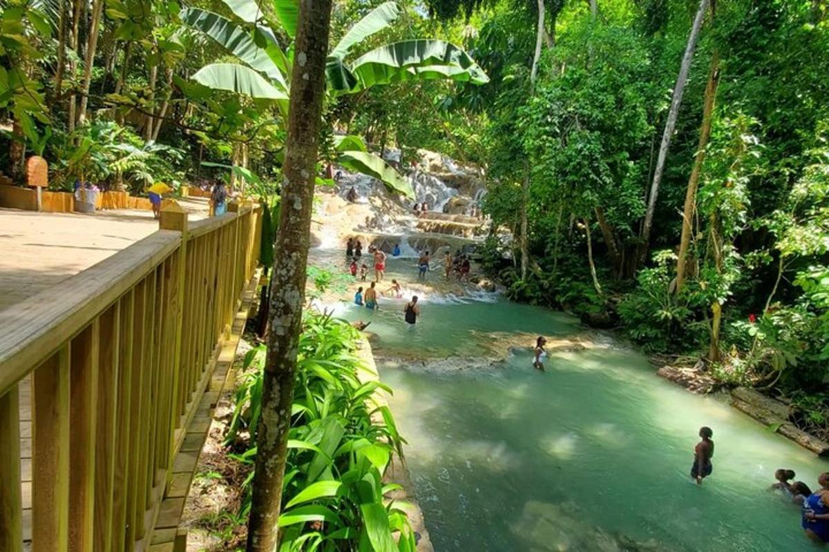Un grupo de personas nadando en un río en la selva.