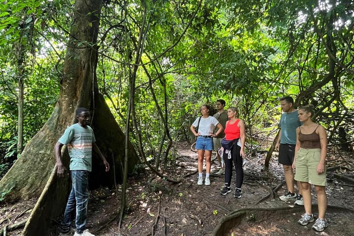 un grup de persones dretes al voltant d'un arbre