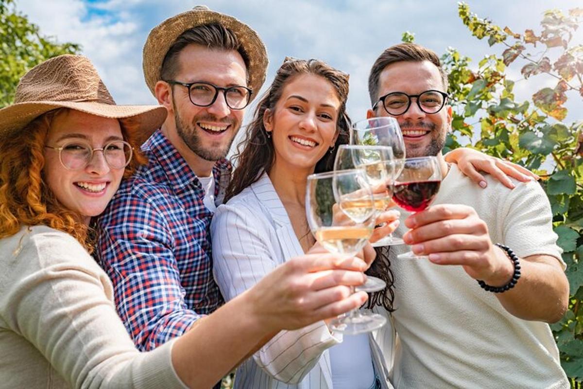 un grup de oameni care beau vin într-o vie