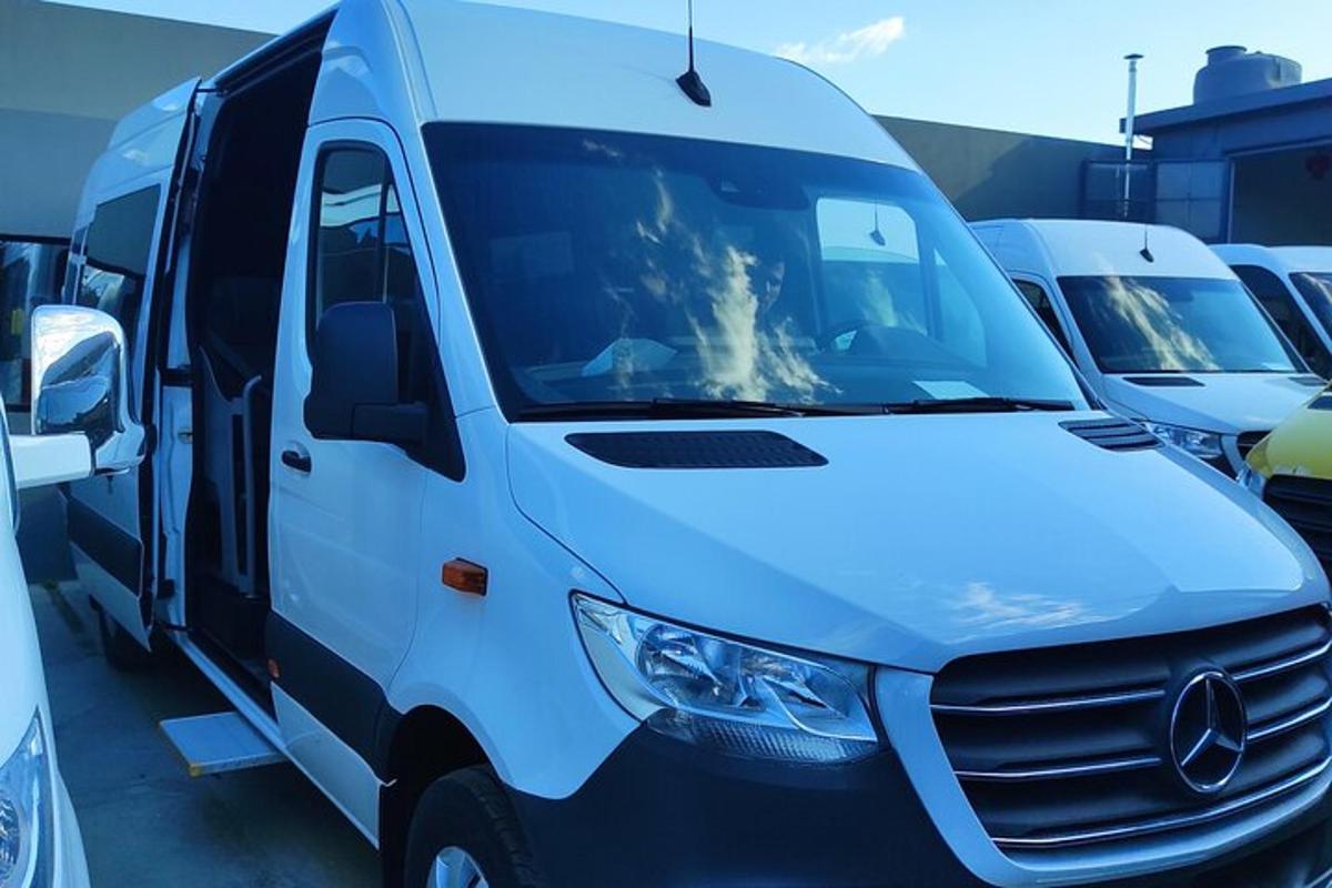 un cane seduto nella parte anteriore di un furgone bianco