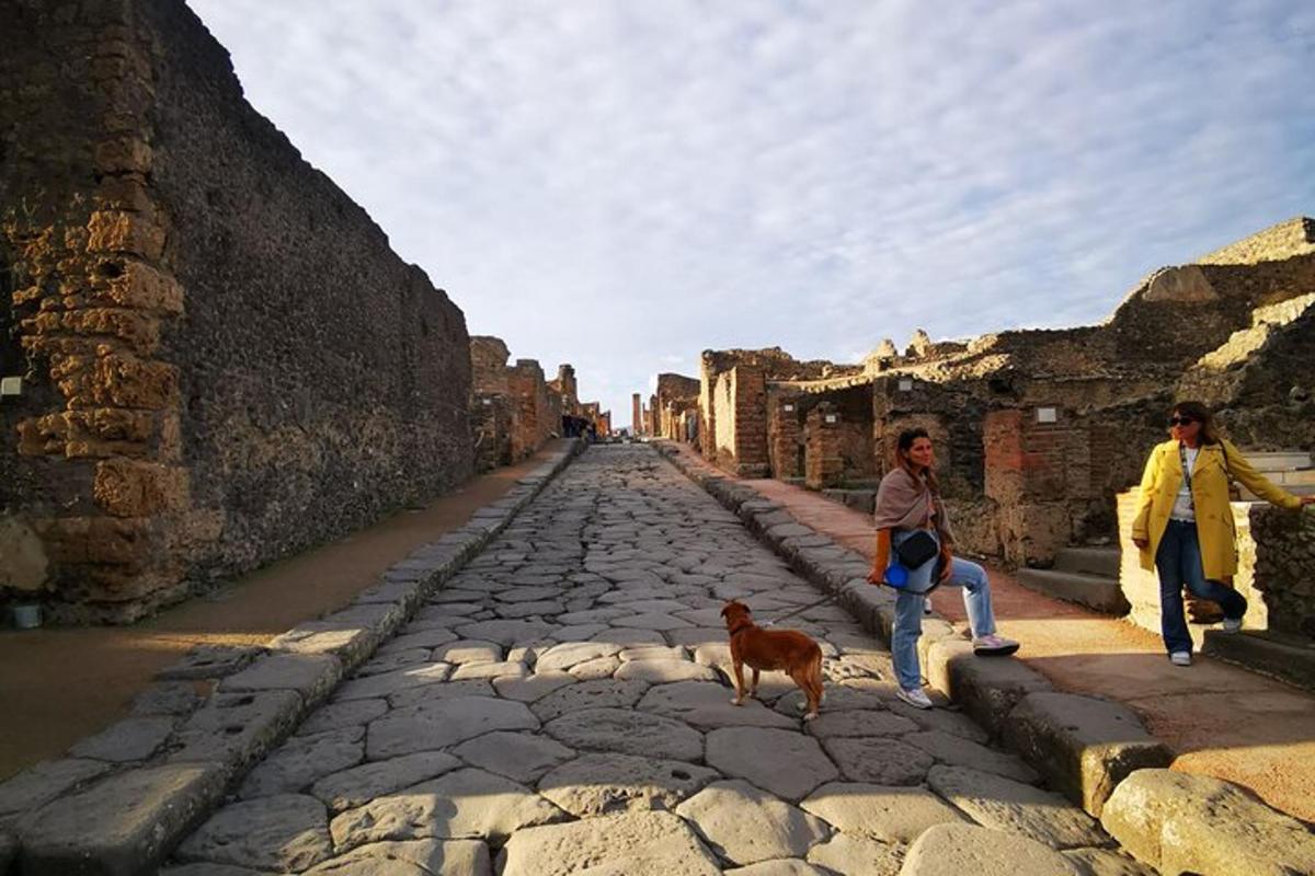 due persone e un cane in piedi su una strada