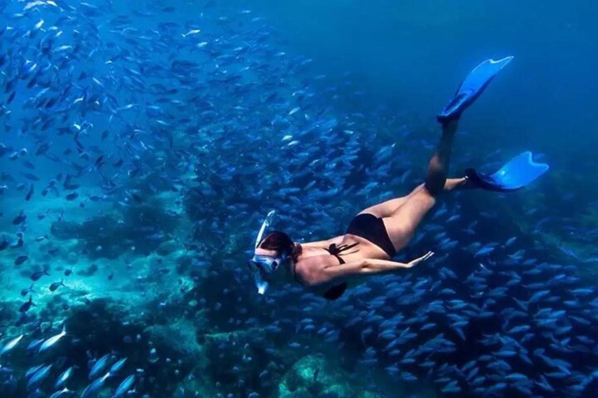 una donna sta nuotando nell'oceano con i pesci