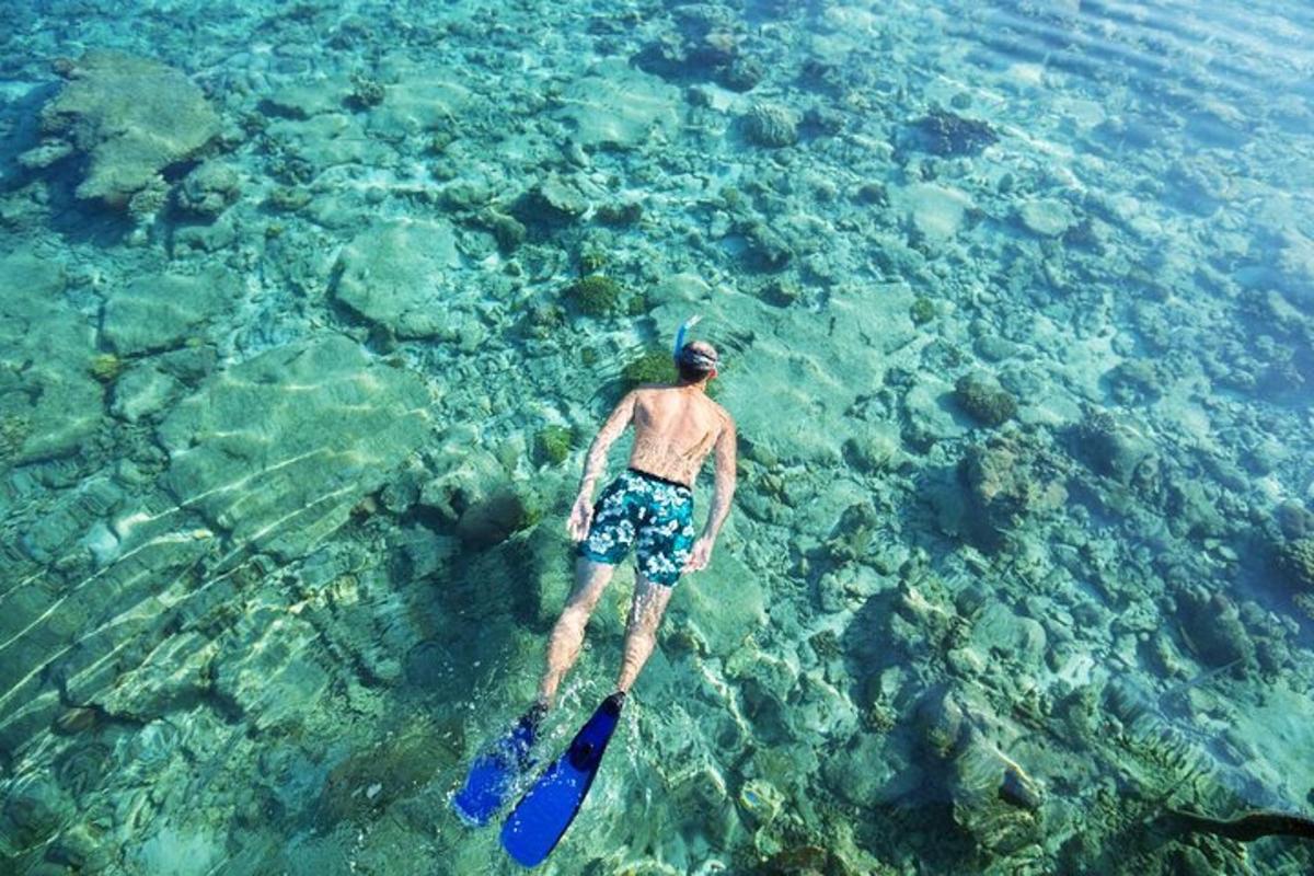 un hombre nadando en el agua con un frisbee