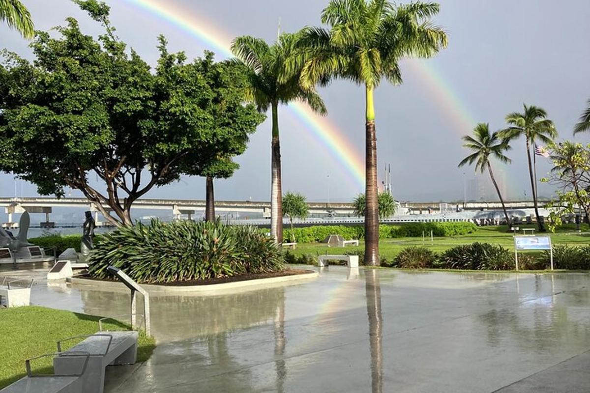 un arc-en-ciel sur un parc avec des palmiers