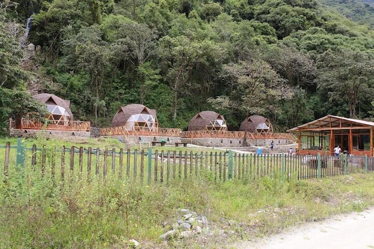 un grup de colibe într-un câmp cu gard